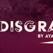 Pulitzer Prize-Winning DISGRACED at the Virginia Stage Company Comes with Extensive C