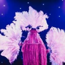BRAT KIDS CARNIVAL Live Show Arrives At Christmas In Leicester Square
