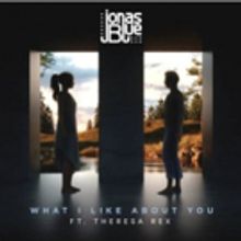 Jonas Blue Unveils Video For 'What I Like About You'