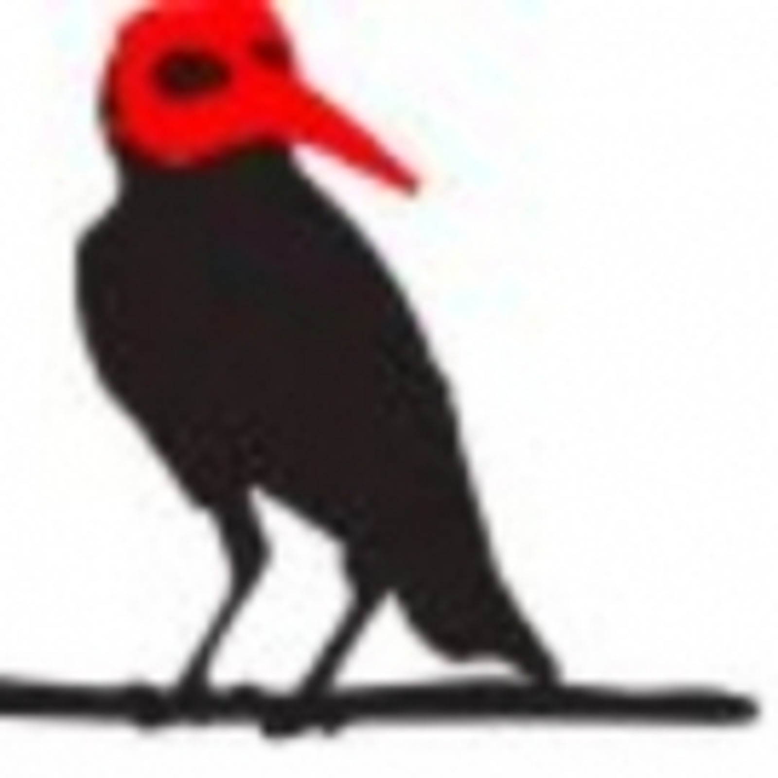 A CHORUS OF DISAPPROVAL Comes to Estrela Hall This May!
