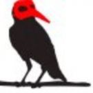 A CHORUS OF DISAPPROVAL Comes to Estrela Hall This May!