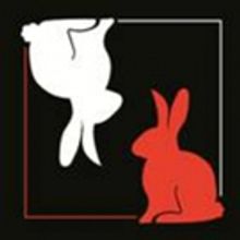 Artists Rep Announces WHITE RABBIT RED RABBIT By Nassim Soleimanpour