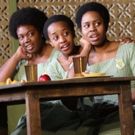 SCHOOL GIRLS; OR, THE AFRICAN MEAN GIRLS PLAY Will Be Filmed for WNET-TV