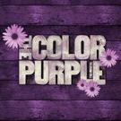 Riverside Center For The Performing Arts Presents THE COLOR PURPLE