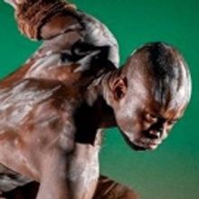 BWW Review:  Lynn Nottage's Ivory Trade Drama MLIMA'S TALE Honors The Beauty of The B