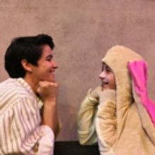 Lakewood Playhouse Presents THE VELVETEEN RABBIT