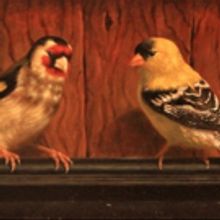 Annual Mercer Co. Artists Exhibit Opens Tonight