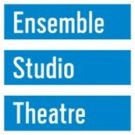 Ensemble Studio Theatre Sarah McLellan as New Executive Director
