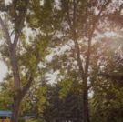 A MIDSUMMER NIGHT'S DREAM to Enchant at Shakespeare By The Bow