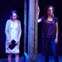 BWW Review: Theater Schmeater's Potent SWALLOW: A Visceral Examination of Loneliness Photo