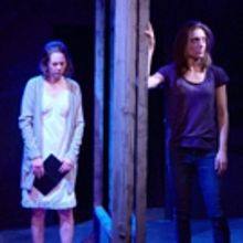BWW Review: Theater Schmeater's Potent SWALLOW: A Visceral Examination of Loneliness