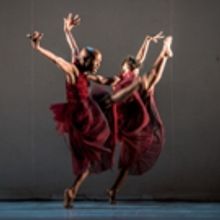 Dance Consortium Presents Dada Masilo's GISELLE