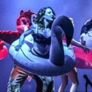 BWW Review: DELUX DELUX at Hamilton Gardens Arts Festival