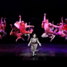 Broadway's Paulo Szot and West End's Kurt Kansley Join Tina Arena in EVITA