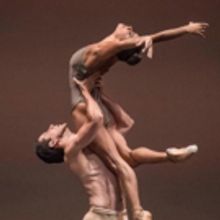 The Sarasota Ballet Offers Gala Performance Only Tickets As Gala Dinner Sells Out