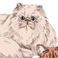 Julesworks Follies 56th Edition Year End STRESS Blow Out Greatest Hits Near Misses An