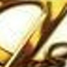 THE WIZARD OF OZ Lands At Sangamon Auditorium, 1/28