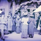 The Endangered Species (Theatre) Project Presents DIANA OF DOBSON'S