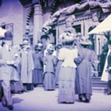 The Endangered Species (Theatre) Project Presents DIANA OF DOBSON'S