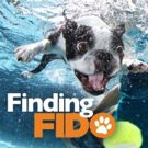 Doggy Matchmaking Show FINDING FIDO To Return For Second Season Cable Net Z Living…