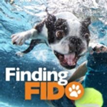 Doggy Matchmaking Show FINDING FIDO To Return For Second Season Cable Net Z Living…