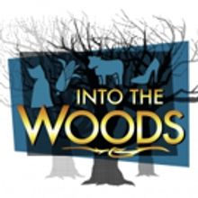 DreamWrights Holds Auditions For Teen Musical INTO THE WOODS