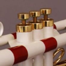 Hanover Wind Symphony Comes to The Bickford Theatre, 2/10