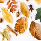 Concrete Timbre and AWCANYC Present First Collaboration Autumn Salon