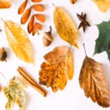 Concrete Timbre and AWCANYC Present First Collaboration Autumn Salon
