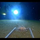 Discovery's Five Deeps Expedition Breaks Record on Dive to Bottom of Challenger Deep…