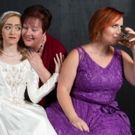BWW Review: Theatre in the Park's Funny IT SHOULDA BEEN YOU Rides on the Coattails…