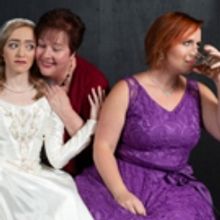 BWW Review: Theatre in the Park's Funny IT SHOULDA BEEN YOU Rides on the Coattails of