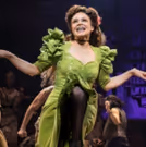 VIDEO: BWW Hits The Red Carpet At Opening Night of HADESTOWN