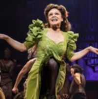 VIDEO: BWW Hits The Red Carpet At Opening Night of HADESTOWN Video