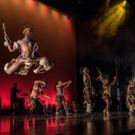 Brooklyn Center for the Performing Arts Presents STEP AFRIKA!