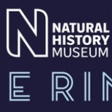 The Natural History Museum Ice Rink Returns For 2018