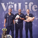 Animal Planet to Premiere New Season of THE VET LIFE