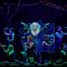 BWW Review: HEAD OVER HEELS Pre-Broadway Premiere