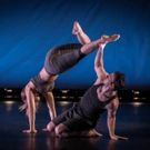 The Dance Gallery Festival Provides A Launchpad For Up And Coming Choreographers