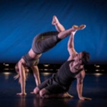 The Dance Gallery Festival Provides A Launchpad For Up And Coming Choreographers