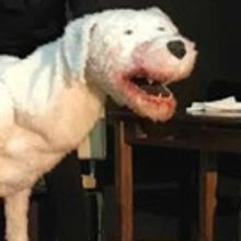 BWW Previews: BELLA brings terror and gore to the SoMo Playhouse