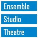Ensemble Studio Theatre Announces Casting For World Premiere Of DIDO OF IDAHO