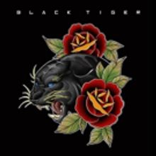 Black Tiger Release Official Video For DON'T LEAVE ME