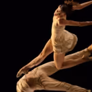 Festival Du Monaco Dance Forum 2018 : Du 8 Au 16 Décembre à Monaco