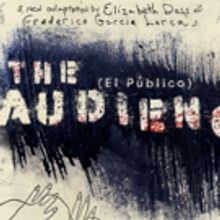 BWW Review: THE AUDIENCE (EL PUBLICO) at Austin Playhouse