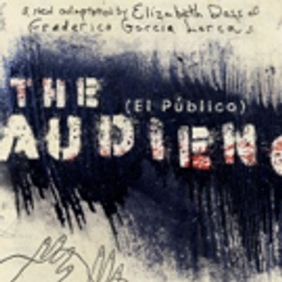 BWW Review: THE AUDIENCE (EL PUBLICO) at Austin Playhouse
