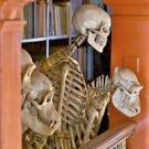 Eleven Performances Join the Performance Lab Series at UCL's Bloomsbury Theatre and…
