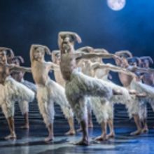 BWW Review: MATTHEW BOURNE'S SWAN LAKE, King's Theatre Glasgow