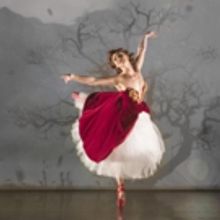 Review Roundup: RED SHOES at New York City Center