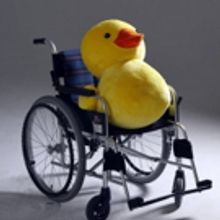 BWW Review: KILL ME NOW at Sejong Cultural Center S Theater, 'I Have a Right to Choos